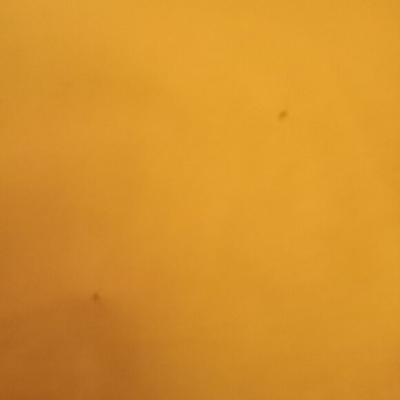 MENS XL YELLOW KERWIN FROST YO QUIERO MI KRT SHIRT RARE SPAGHETTI BOYS - Picture 4 of 8